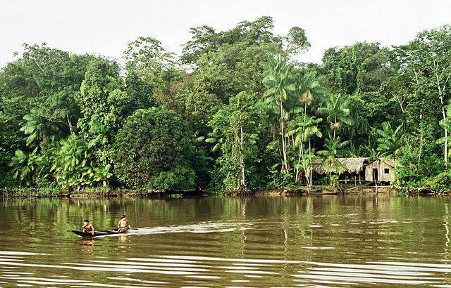 Casaamazonica