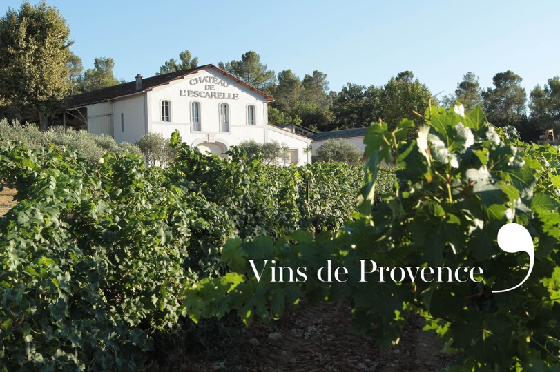 meilleur vin de Provence